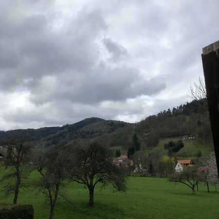 Petit Week End Dans La Vallee Breitenbach-Haut-Rhin Экстерьер фото