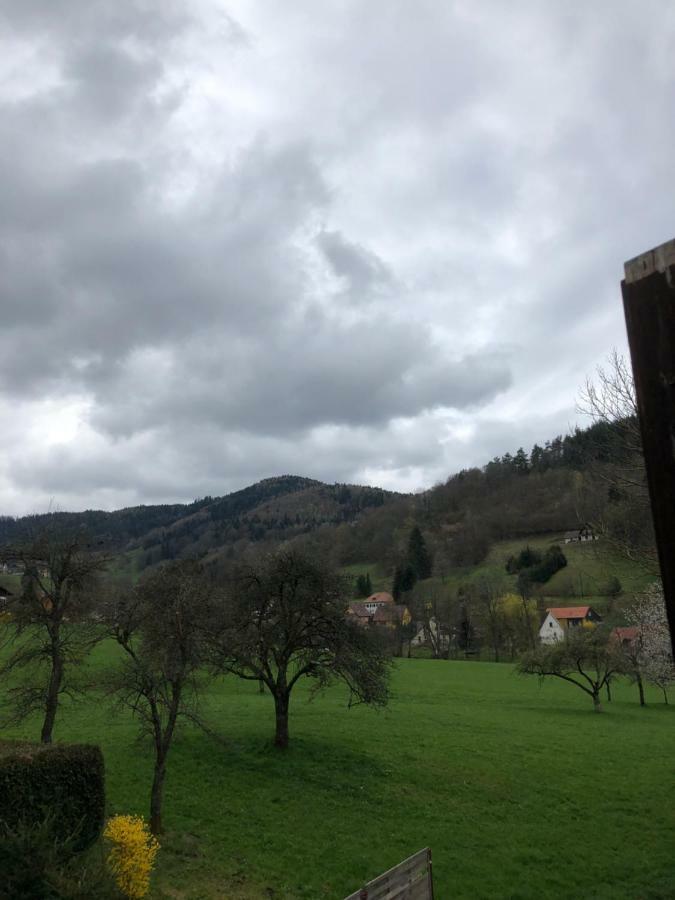 Petit Week End Dans La Vallee Breitenbach-Haut-Rhin Экстерьер фото
