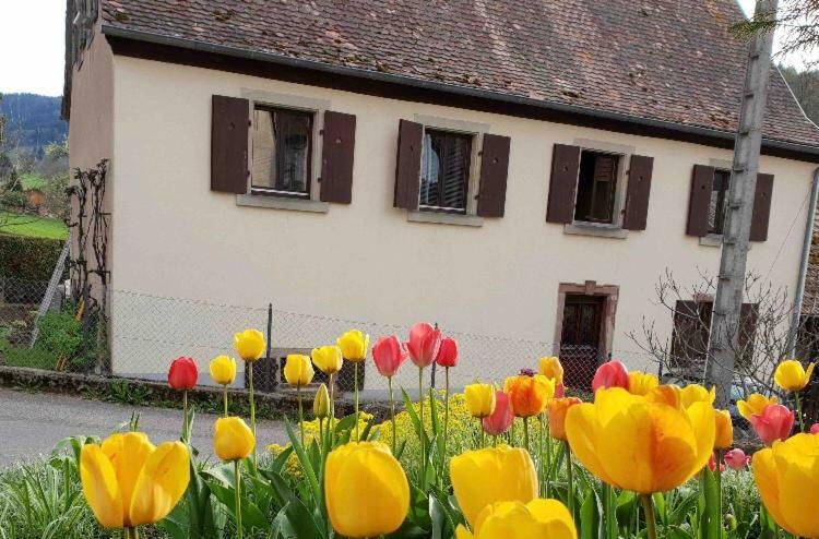 Petit Week End Dans La Vallee Breitenbach-Haut-Rhin Экстерьер фото