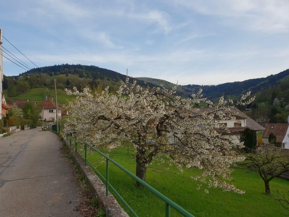 Petit Week End Dans La Vallee Breitenbach-Haut-Rhin Экстерьер фото