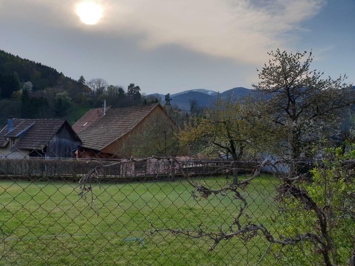 Petit Week End Dans La Vallee Breitenbach-Haut-Rhin Экстерьер фото