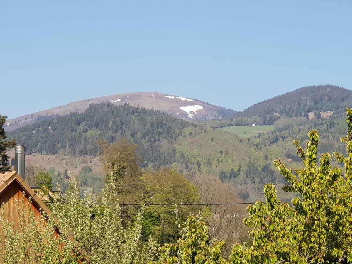 Petit Week End Dans La Vallee Breitenbach-Haut-Rhin Экстерьер фото