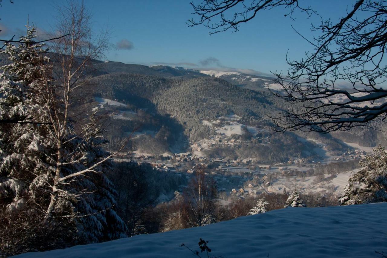 Petit Week End Dans La Vallee Breitenbach-Haut-Rhin Экстерьер фото