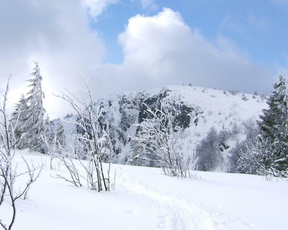 Petit Week End Dans La Vallee Breitenbach-Haut-Rhin Экстерьер фото