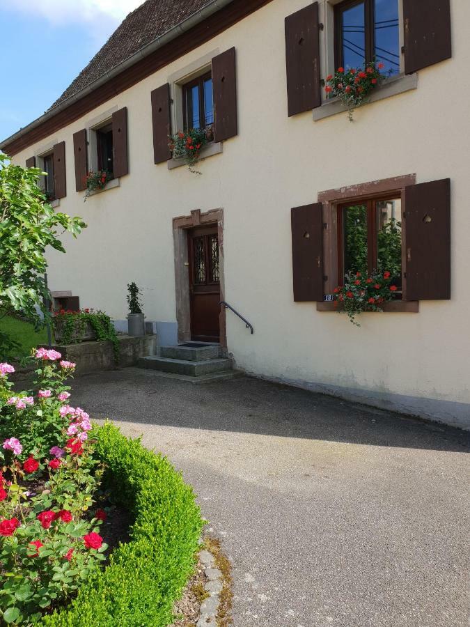 Petit Week End Dans La Vallee Breitenbach-Haut-Rhin Экстерьер фото