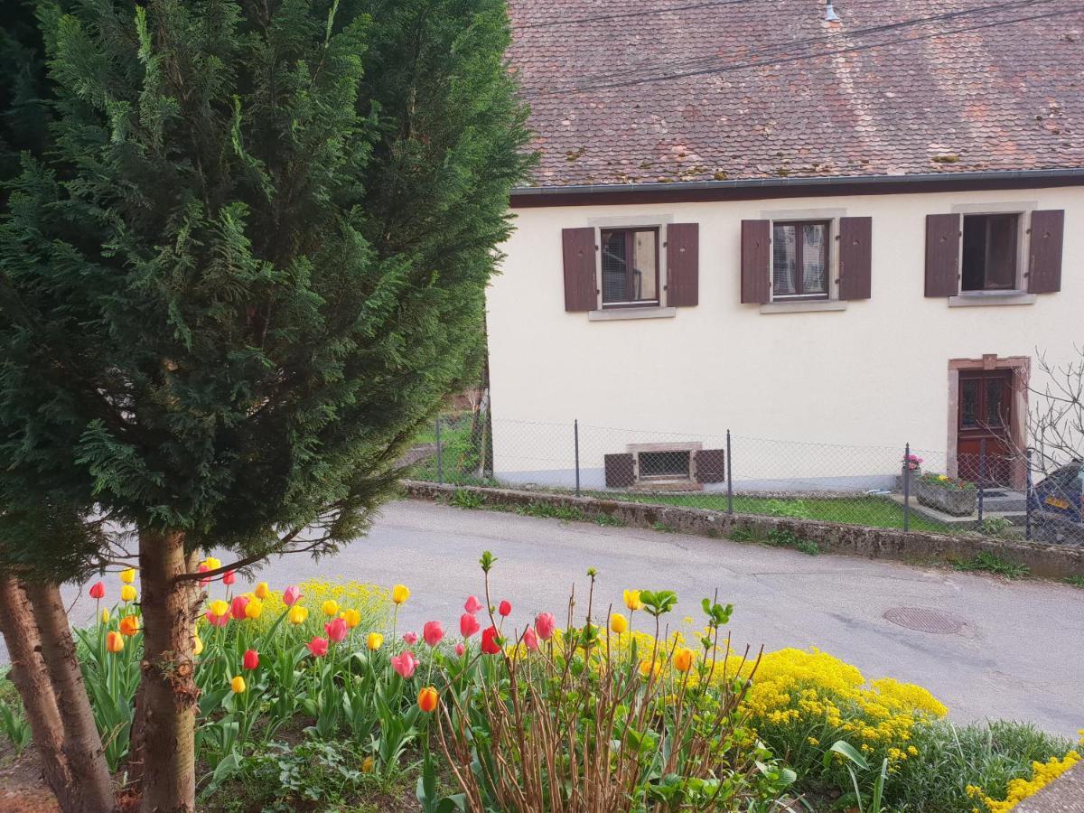 Petit Week End Dans La Vallee Breitenbach-Haut-Rhin Экстерьер фото